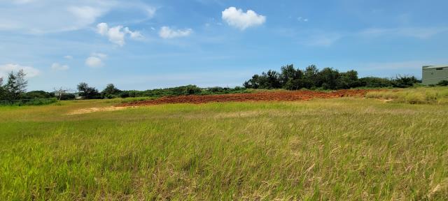 桃園觀音工業地-3