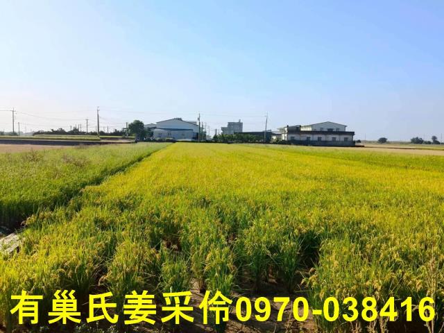 嘉義溪口農地-4