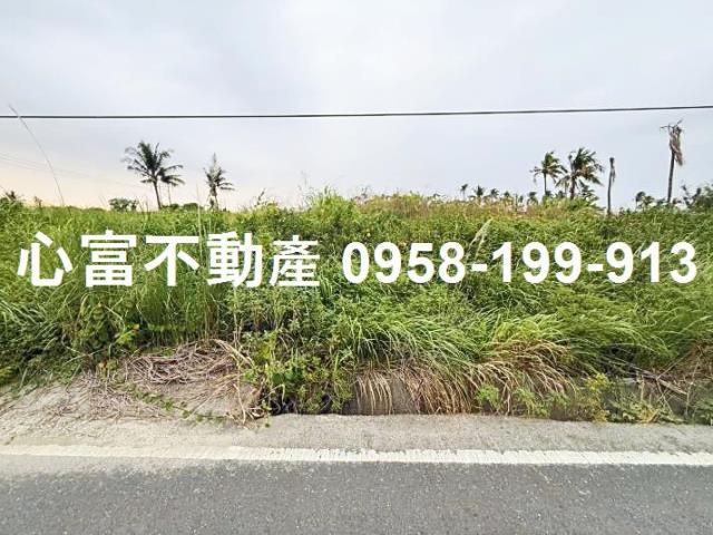 高雄阿蓮農地-1