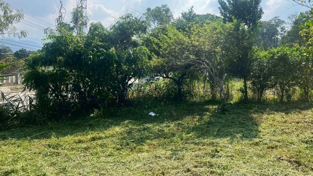 新竹交通用地-7