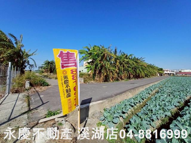 彰化埔鹽農地-2