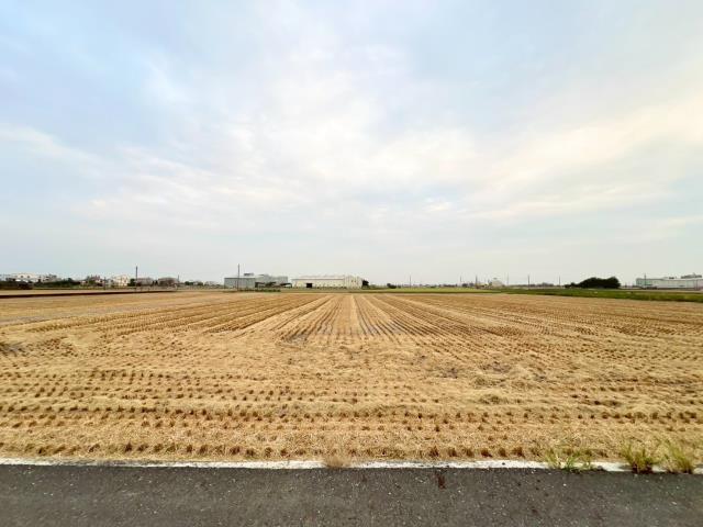 嘉義溪口農地-4