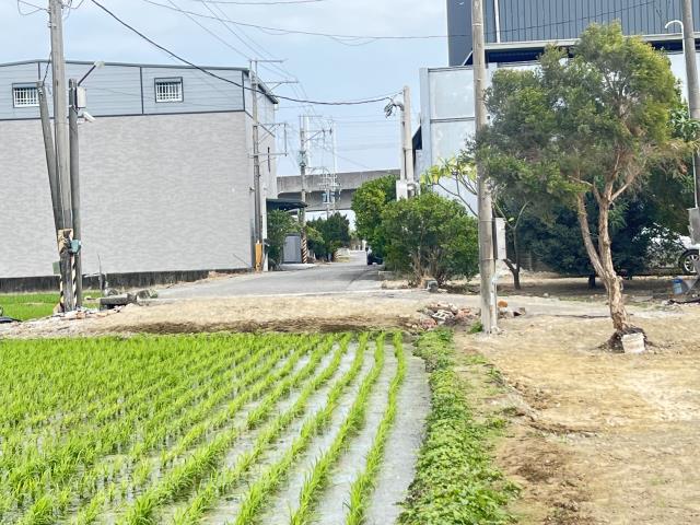 仁德農地-1