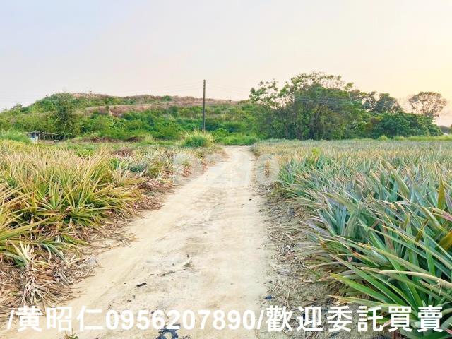 關廟農地-5