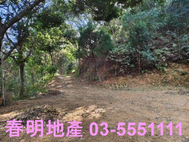 新竹關西農地-3