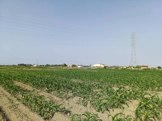 台南學甲農地-4