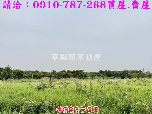 台南仁德農地-10