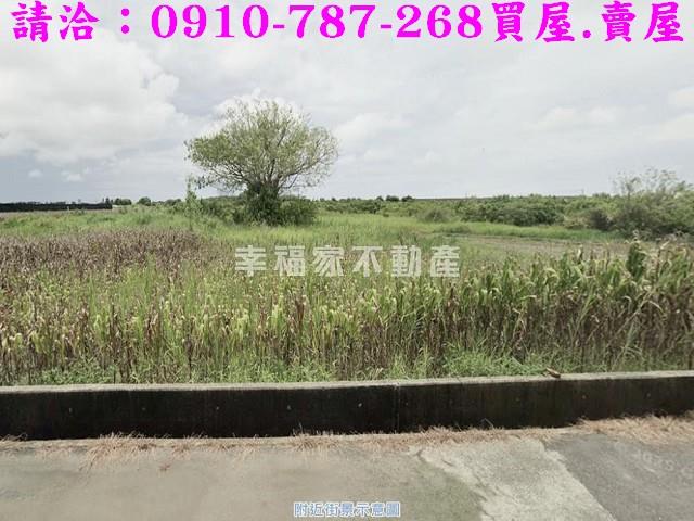 台南西港農地-13