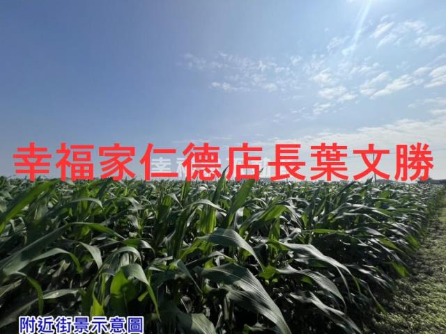 台南佳里農地-10