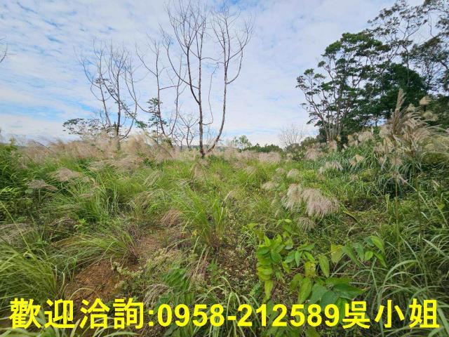 新埔農地-10