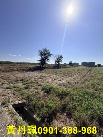 大園農地-1