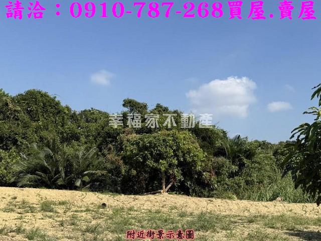 台南楠西農地-10