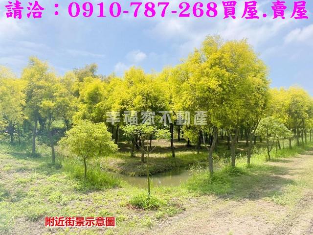 台南六甲農地-2