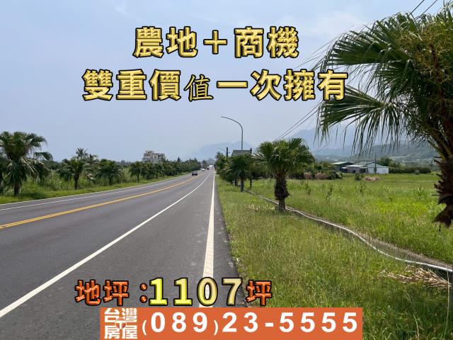 成功農地-5