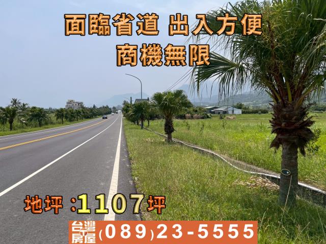 成功農地-6