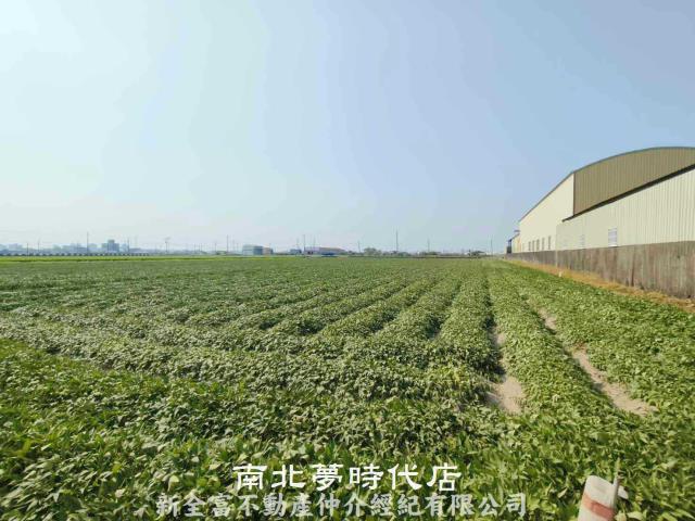 新市農地-3