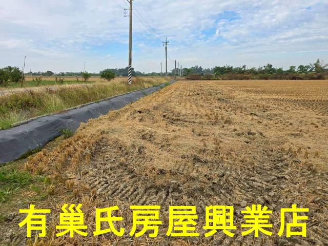 台南農地-5