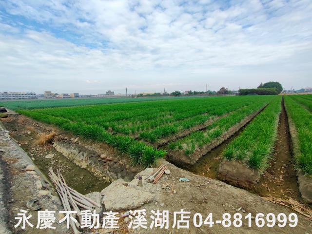 埔鹽農地-4