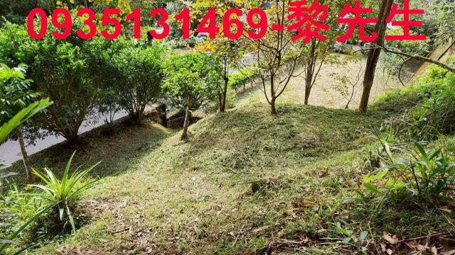 新竹北埔農地-1