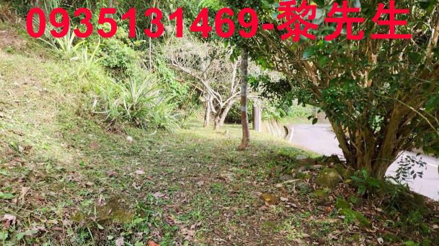 新竹北埔農地-7