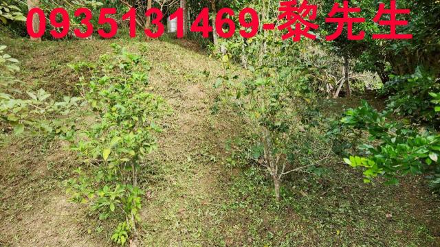 新竹北埔農地-8