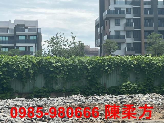 嘉義西區工業地-1