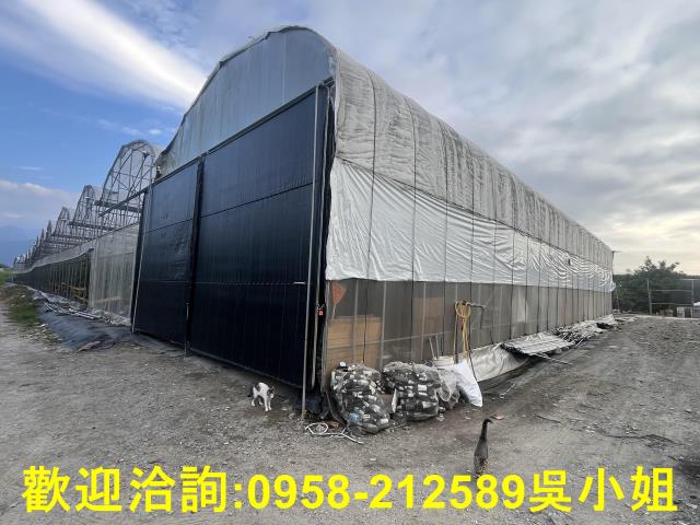 南投埔里農地-11