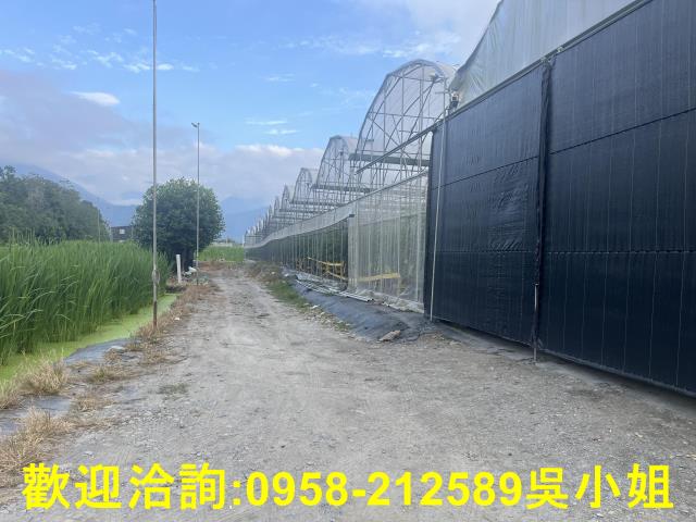 南投埔里農地-7