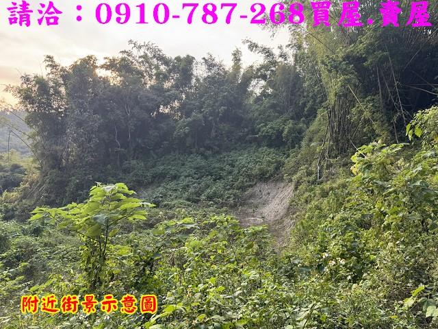 台南龍崎農地-6