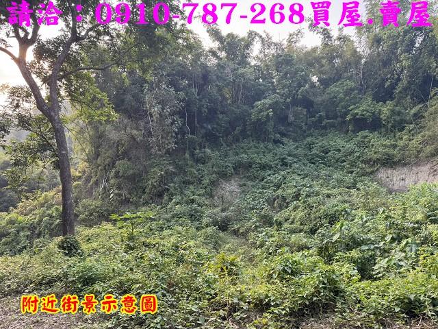 台南龍崎農地-8