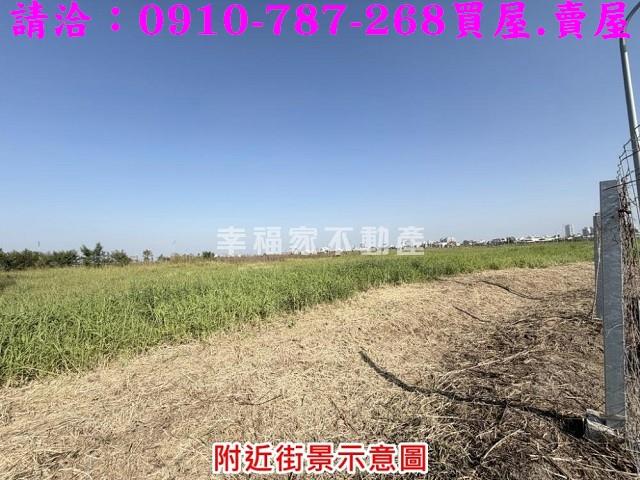 台南善化建地-9