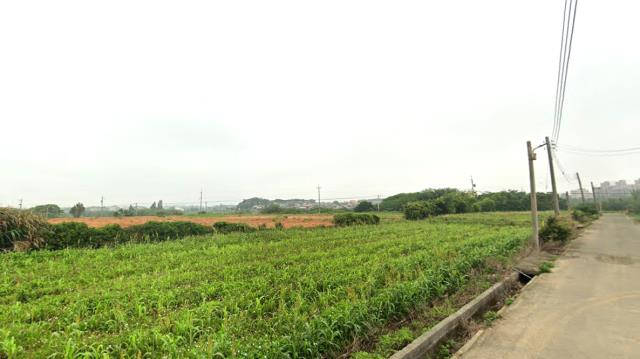 新竹新豐農地-3
