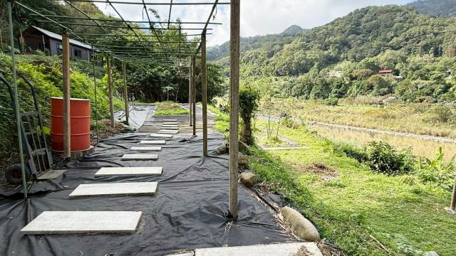 新竹橫山農地-13