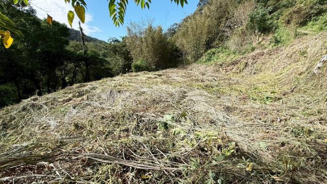 新竹關西建地-6