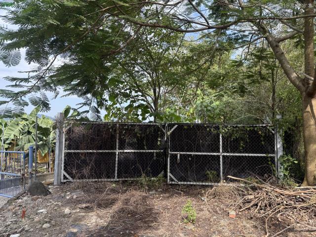 屏東高樹農地-1