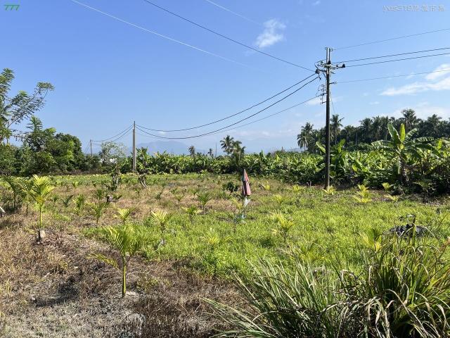 高雄旗山農地-1