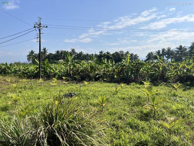 高雄旗山農地-6