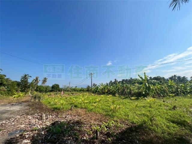 高雄旗山農地-4