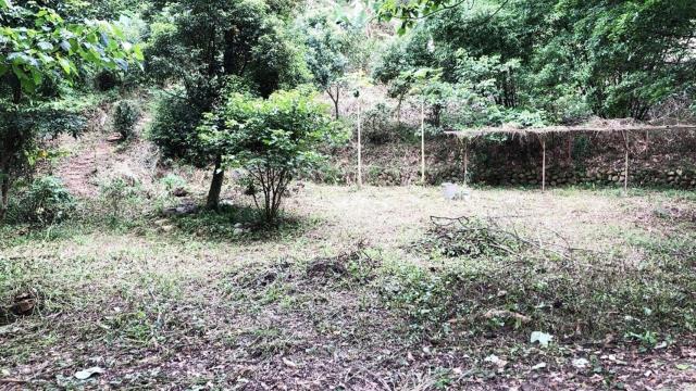 新竹關西農地-6