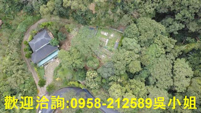 新埔山坡地-1