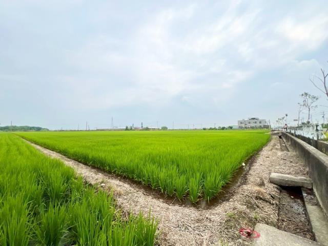 新港農地-4