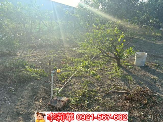 台南安定農地-12