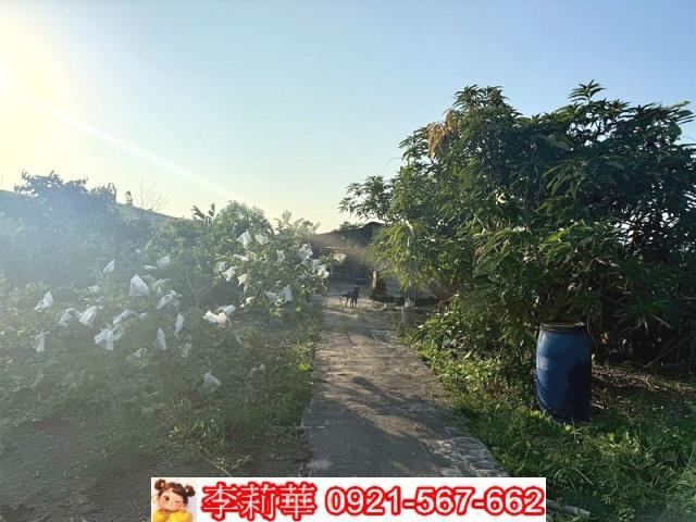 台南安定農地-9