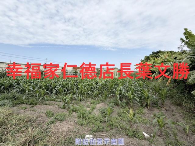 台南佳里農地-9