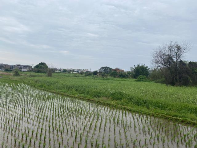 桃園農地-3