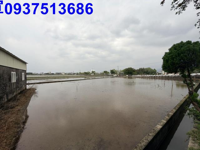 宜蘭礁溪農地-9