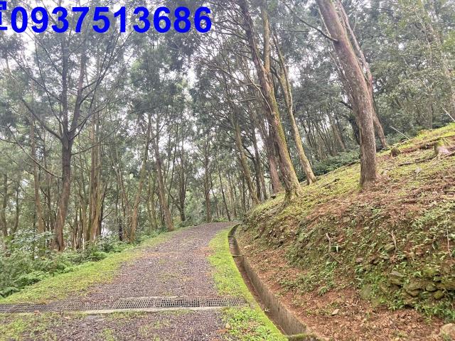 宜蘭礁溪農地-5