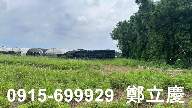 蘆竹交通用地-5