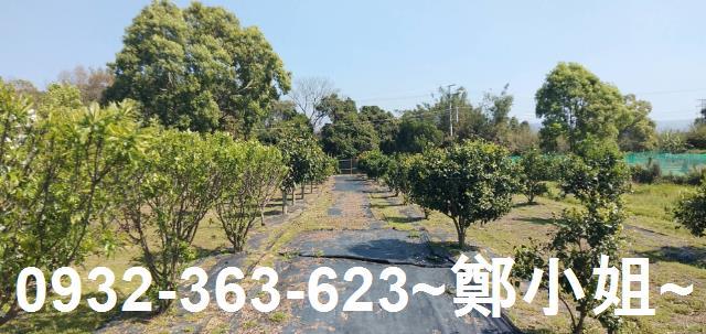 苗栗通霄農地-7