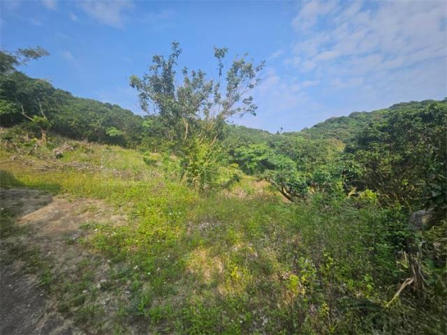 高雄大樹農地-2